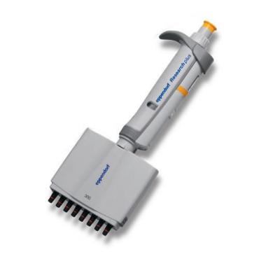 Eppendorf Research plus Adjustable 8-Channel 30 Pipette from Eppendorf Image