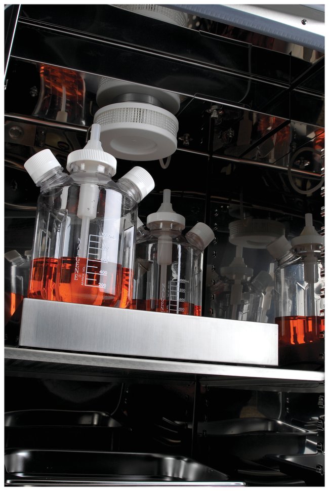 Cimarec Biosystem Slow-Speed Stirrer for Cell Culture 4-position from Thermo Fisher Scientific Image