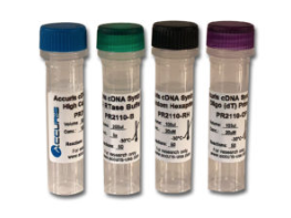 Accuris qMAX First Strand cDNA Synthesis Flex Kit, sample (2018) Image