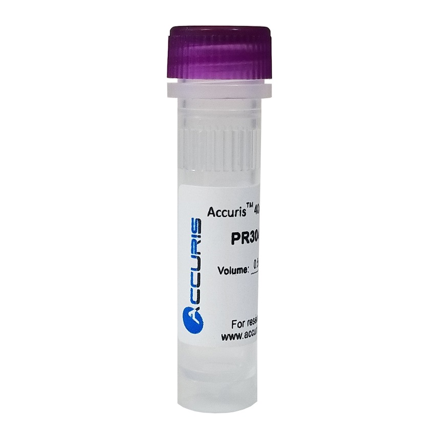 100mM dNTP Set, dATP, dGTP, dTTP, dCTP, 1ml/100µmol of each from Accuris Instruments Image